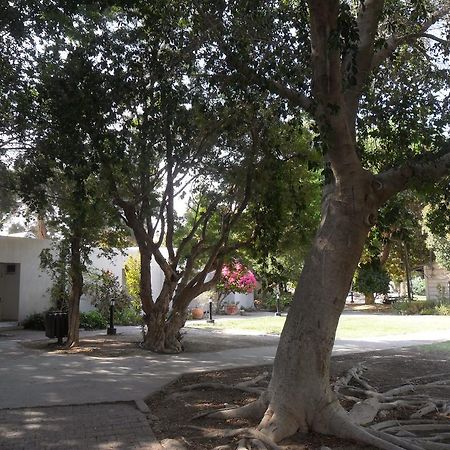 Almog Kibbutz Hotel Exteriör bild