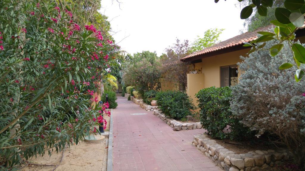 Almog Kibbutz Hotel Exteriör bild