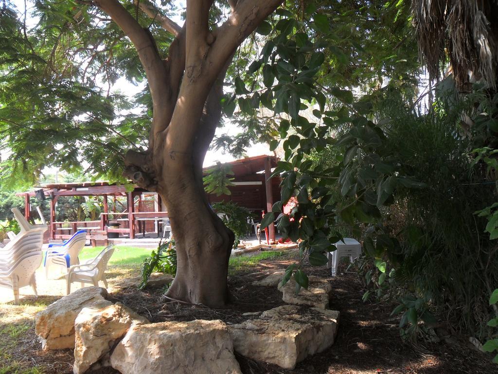 Almog Kibbutz Hotel Exteriör bild